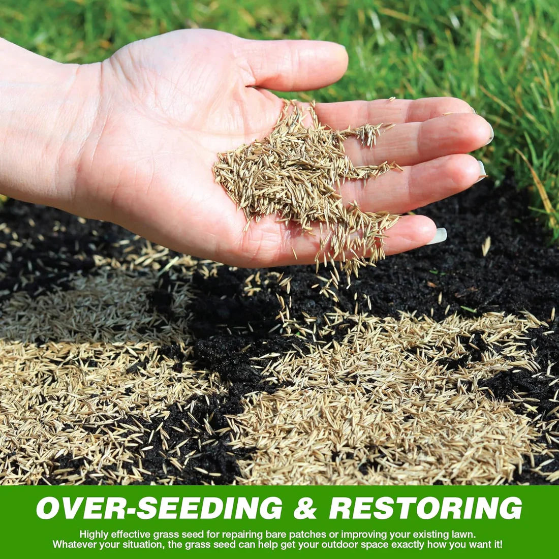 Evergreen Grass Seeds (Buy 1 Get 1 Free)