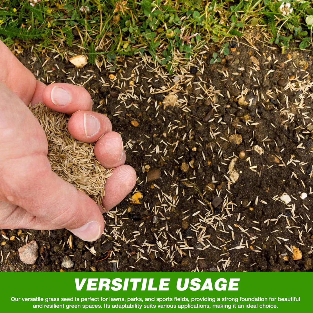 Evergreen Grass Seeds (Buy 1 Get 1 Free)